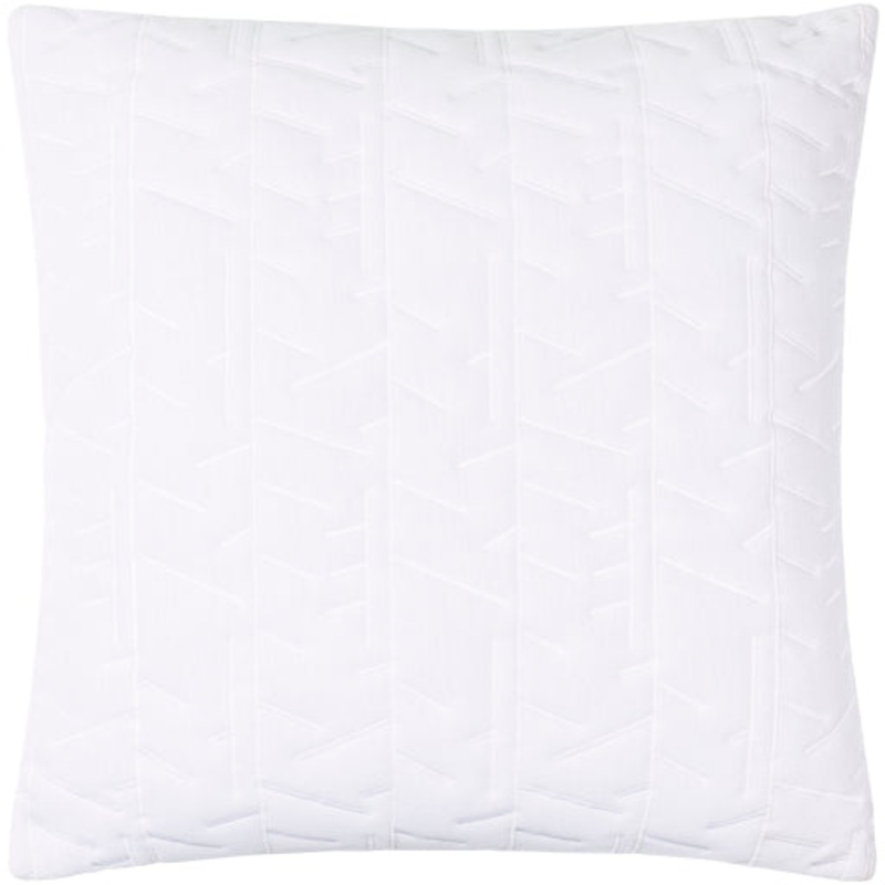 Trunk-Inspired Accents – BCD-003 18×18 Decorative Pillow