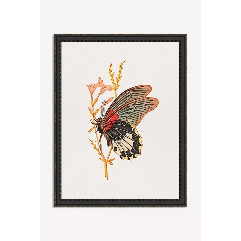 Bright Butterfly Wall Art