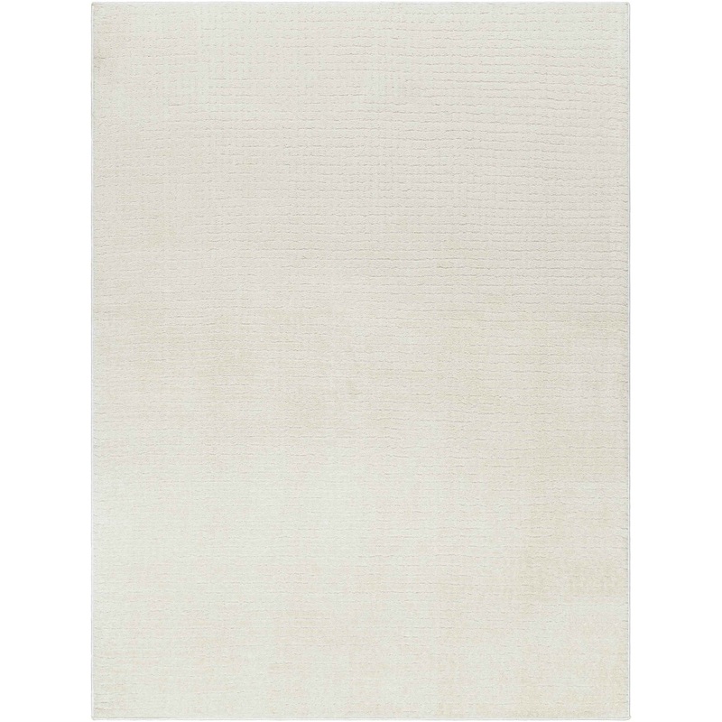 Arny Solid Color Rug-7’10×10′