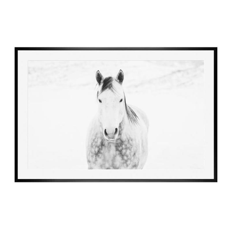 Winter White Horse Print by Jennifer Meyers