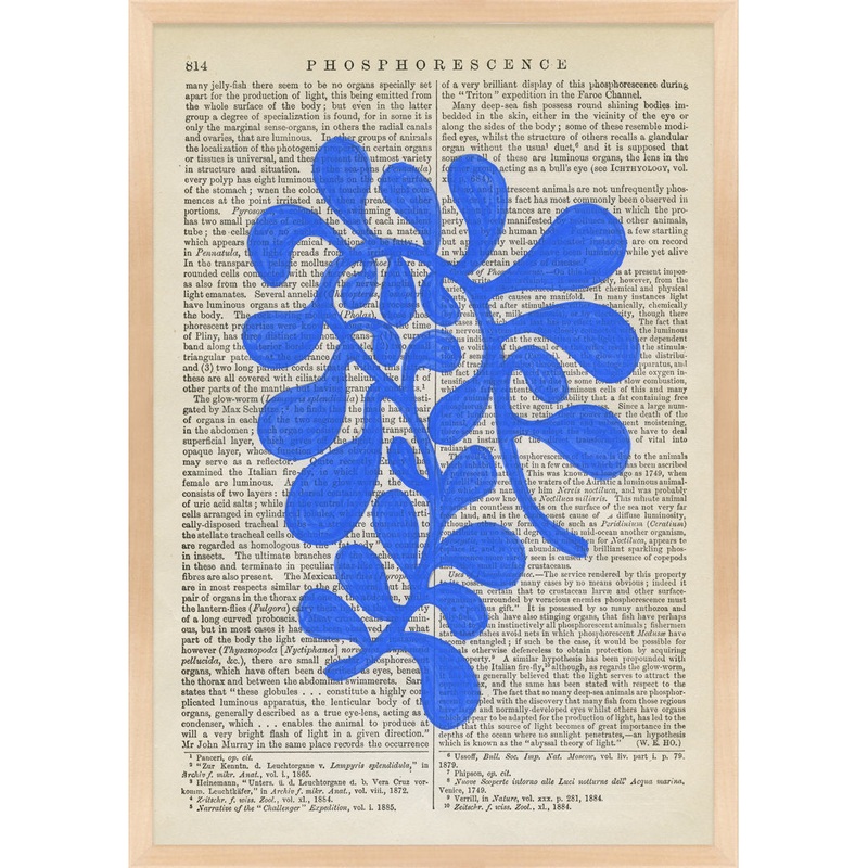 Pitt Phosphorescence By Michela Sorrentino – Picture Frame Print on Paper George Oliver Frame Color: Maple Wood Size: 25″ H x 18″ W x 1.25″ D