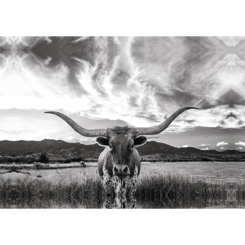 Black And White Longhorn Cow I – Wrapped Canvas Photograph Steelside Size: 20″ H x 30″ W   Format: Walnut Framed Canvas, Mat Included: No