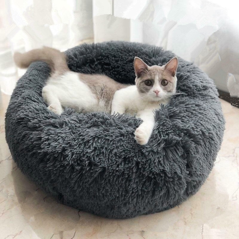 Toccoa Doughnut Tucker Murphy Pet Color: Dark Gray Size: Small (15.7″ W x 15.7″ D x 5.5″ H)