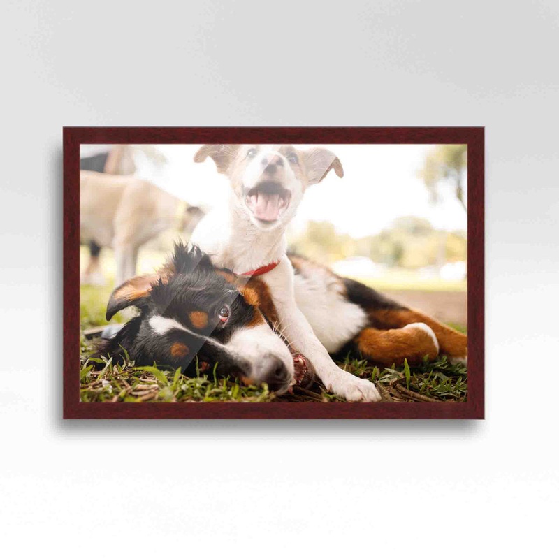Wood Single Picture Frame in Brown CustomPictureFrames.com Color: Brown Picture Size: 20″ x 27″