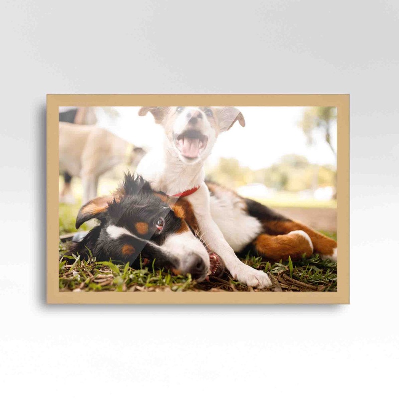 Wood Single Picture Frame in Brown CustomPictureFrames.com Color: White/Brown Picture Size: 15″ x 22″