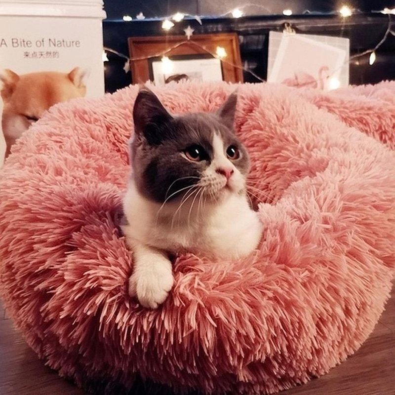 Toccoa Doughnut Tucker Murphy Pet Color: Pink Size: Medium (23.6″ W x 23.6″ D x 5.5″ H)