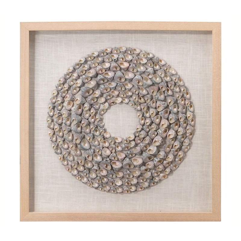 Trochidae Shell Shadow Box Wall Art With Frame