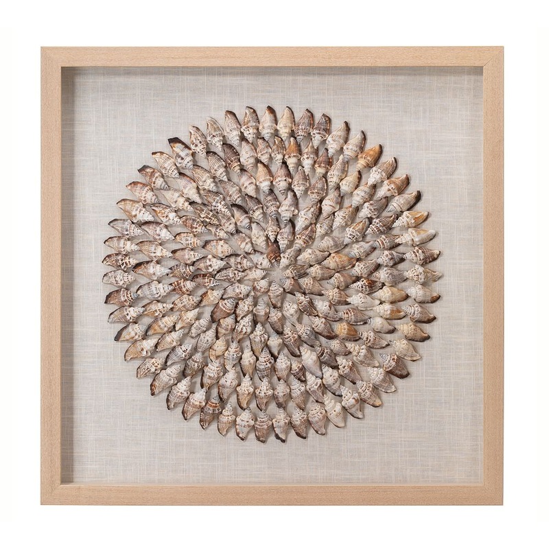 Tulip Shell Shadow Box Wall Art With Frame