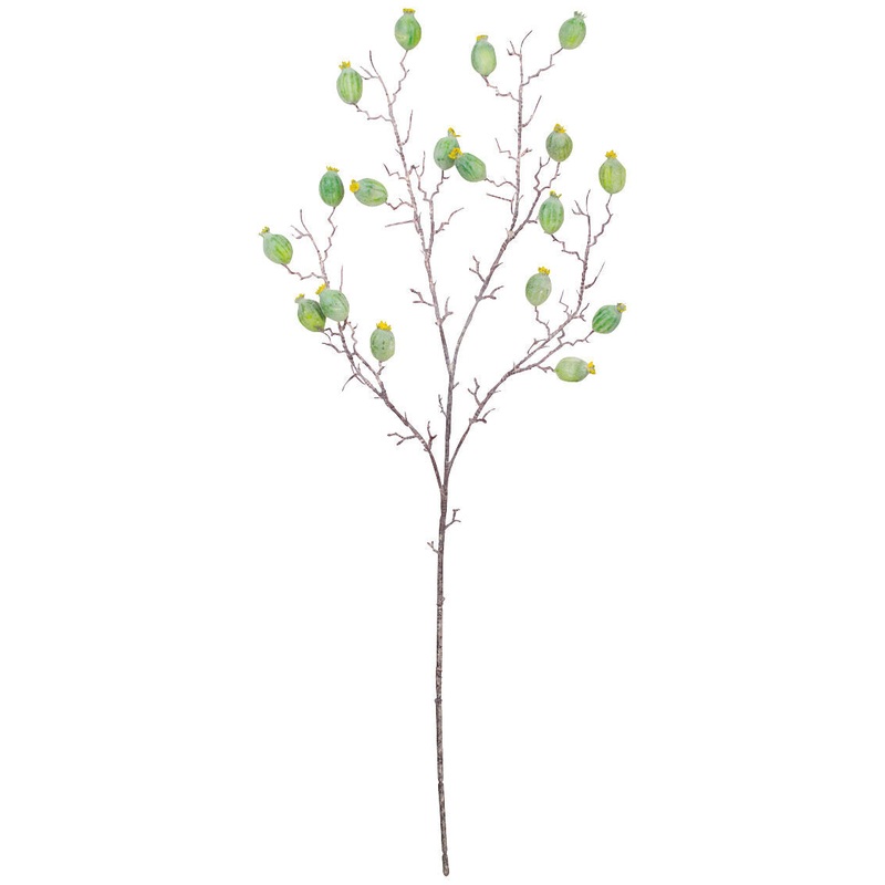 Botanical Branch Greenery
