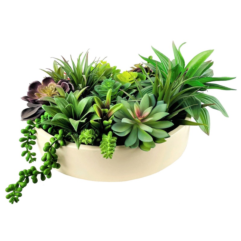 Succulent Deluxe Garden