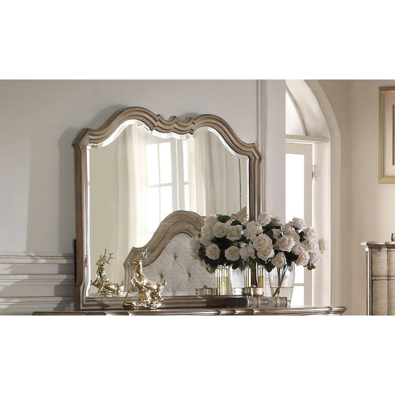 Acme Chelmsford Landscape Mirror in Antique Taupe 26054