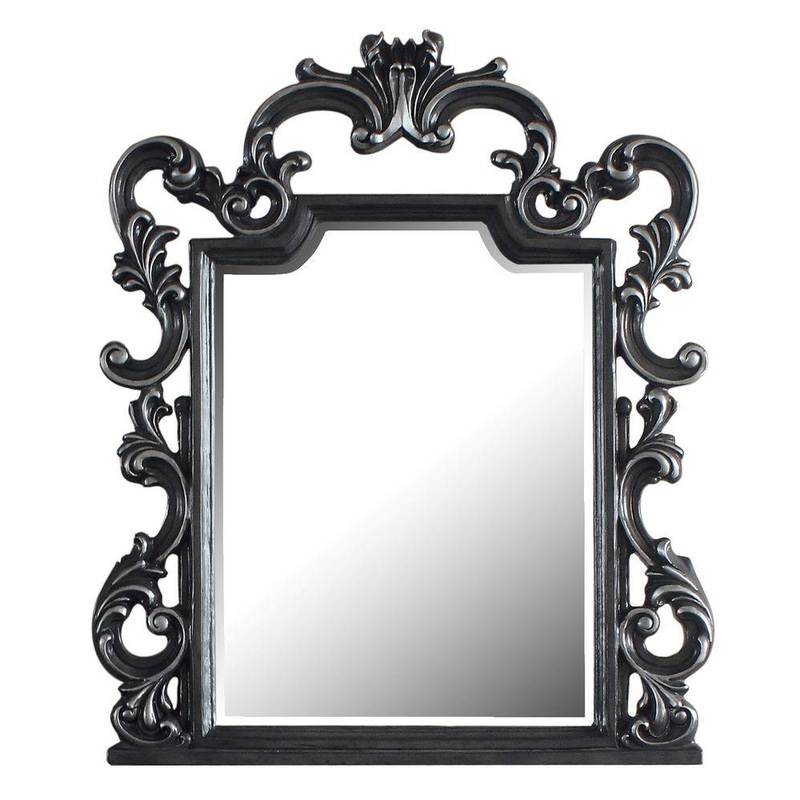 Acme Furniture House Delphine Mirror in Charcoal 28834